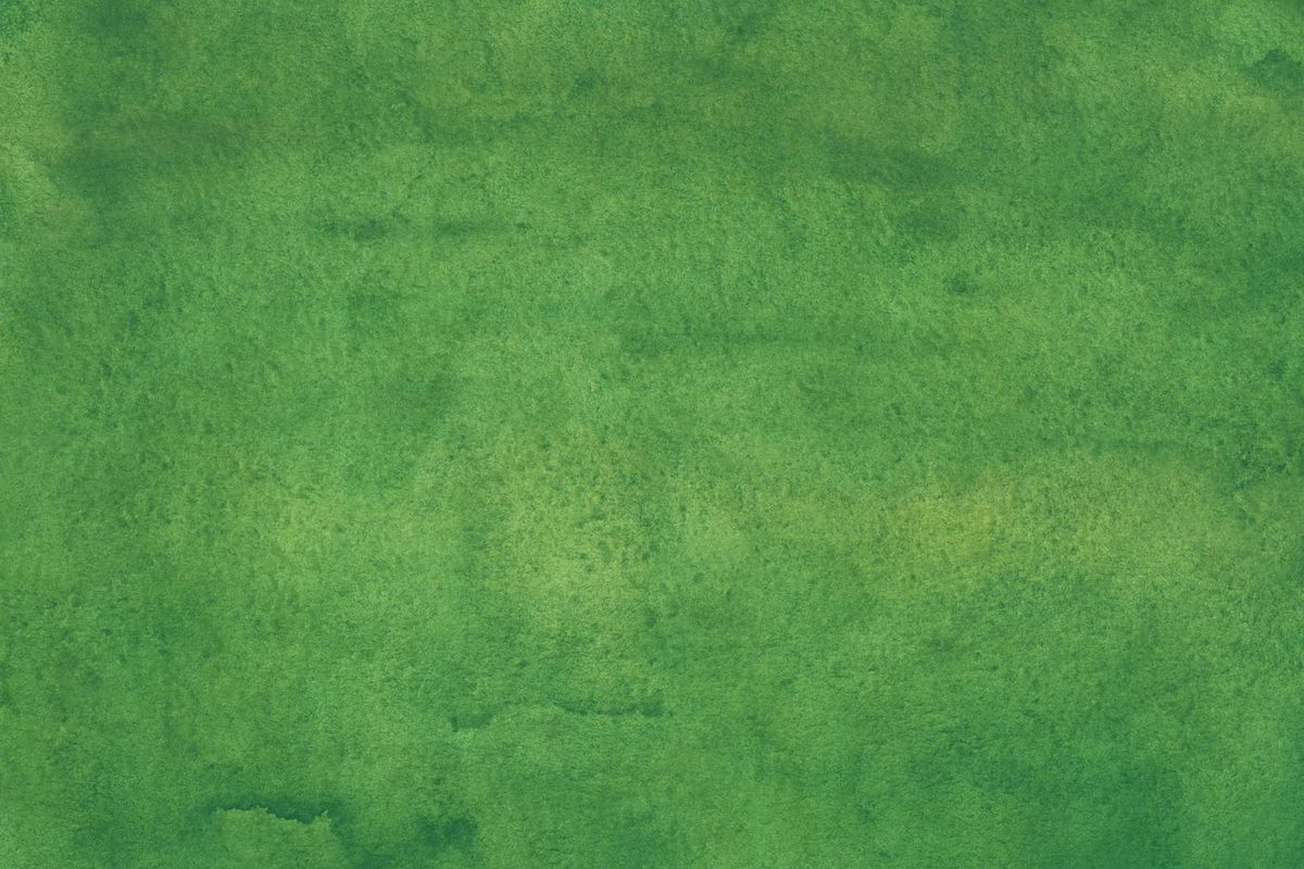 Abstract background with soft green leaf patterns.